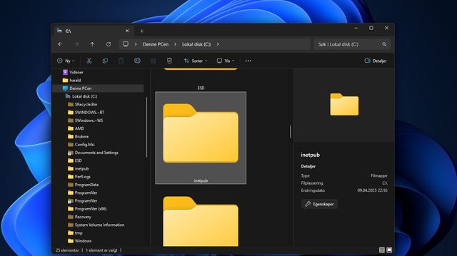 Microsoft: Ikke slett denne nye mappen i Windows!