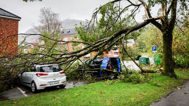 Det er stille i orkanens øye. Takket være Telenor og co