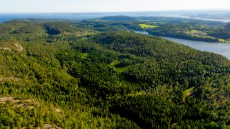 Illustrasjon av Støres sønn kjemper mot regjeringens sprengstoffplaner