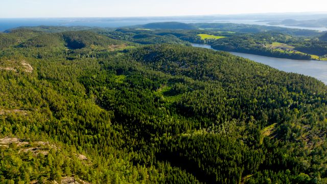 Støres sønn kjemper mot regjeringens sprengstoffplaner