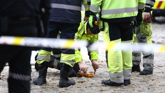 Illustrasjon av Enda en hund kan ha fått støt av trikkeskinner