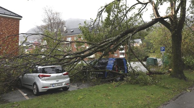 2330 Amy-skademeldinger