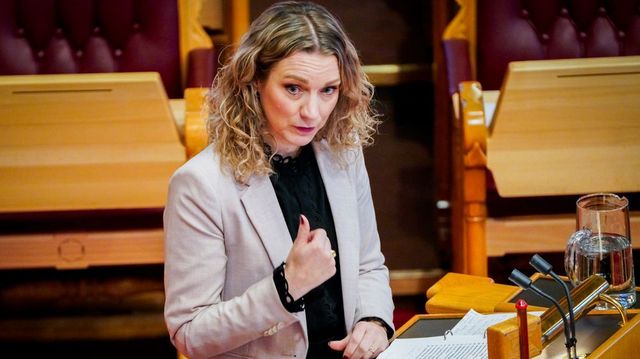 Flott med nasjonal digitaliseringsstrategi, men hva med organiseringen?