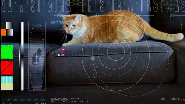 Kattevideoer - en klimatrussel