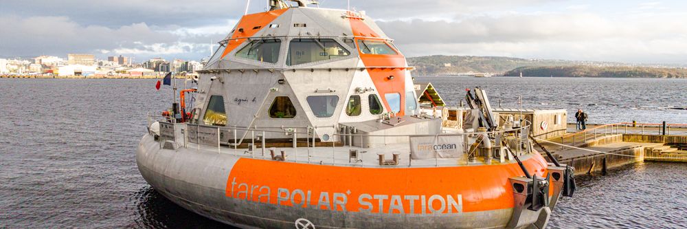 Illustrasjon av Nå setter «Tara» kursen mot Arktis