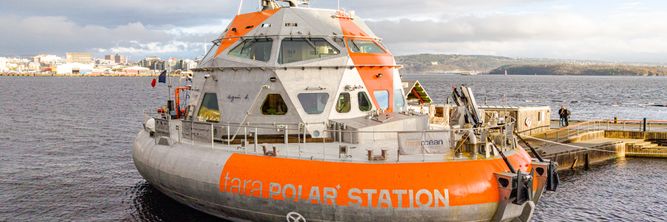 Illustrasjon av Nå setter «Tara» kursen mot Arktis