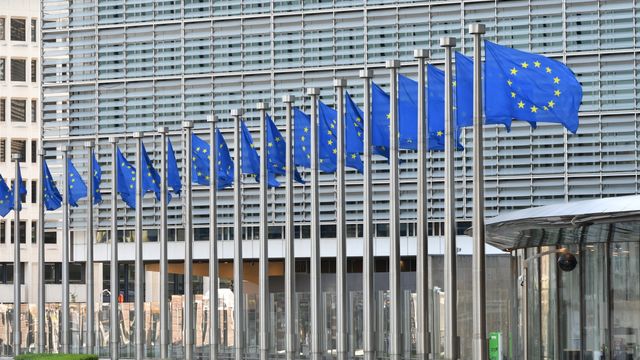 Miljøorganisasjoner får ikke bruke EU-penger for å påvirke EU