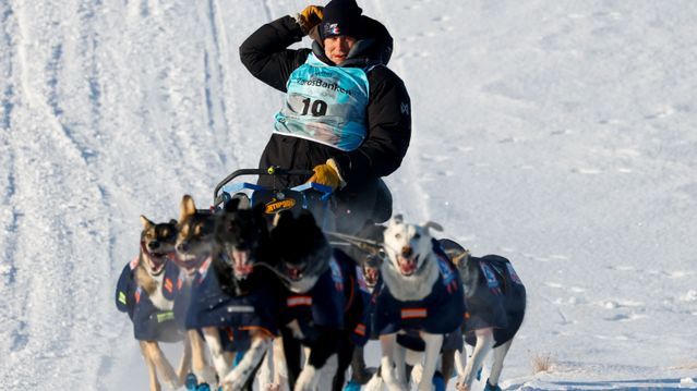 Massivt dataangrep rammer VM i hundekjøring på Røros
