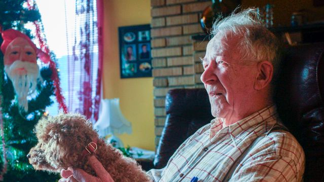 Gi noen Norgespris til jul