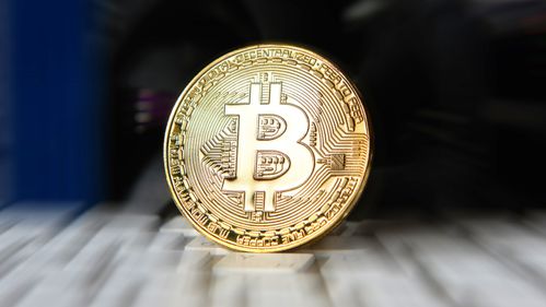 Kastet bitcoin verdt 8 milliarder i søpla – får ikke lov til å lete