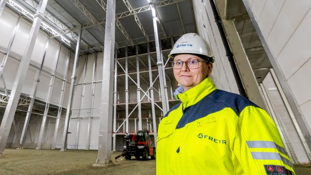 Industrien klarer seg best selv?