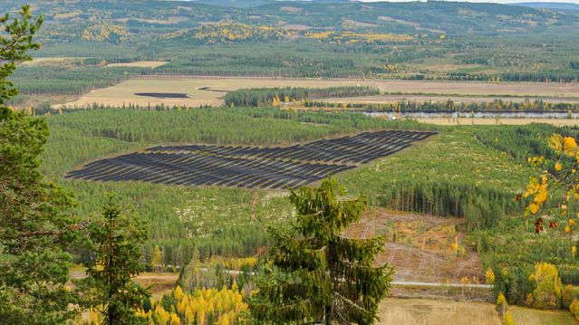 Ville bygge solkraftverk i vernet skog med kullgroper fra jernalderen. NVE sier nei
