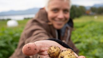 Illustrasjon av  – Vi er rigget ganske sårbart