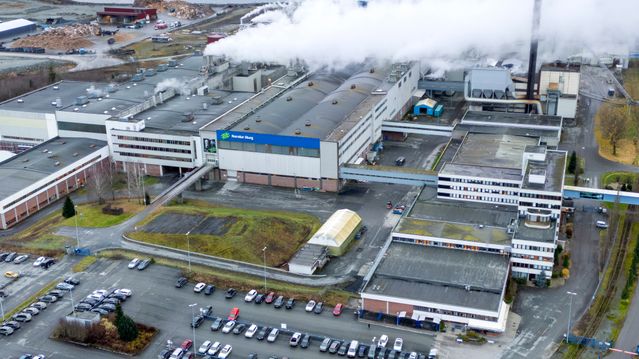 Norske Skog har blitt for grønne – kan tape store summer