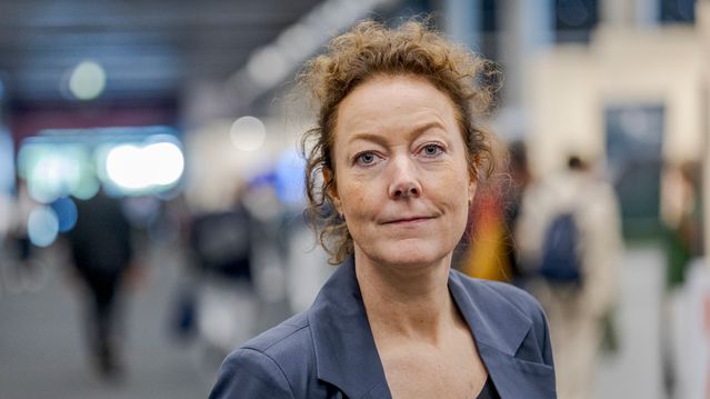 Skygard-sjefen ber om fortgang i Nasjonal sky-prosjektet