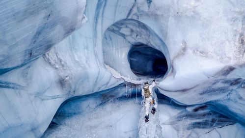Illustrasjon av Mer enn bare hundesleder
