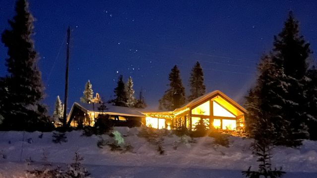 Norgespris vil koste 21 milliarder årlig 