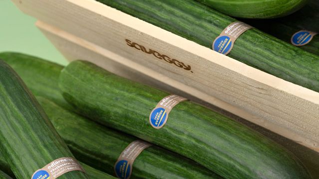 Svenske agurker har fått usynlighetskappe