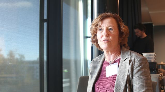 FFI advarer mot kinesisk utstyr i kraftbransjen