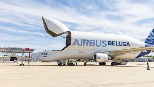 Illustrasjon av Svanesang for «flyvende hval» – Erstatteren er enda større