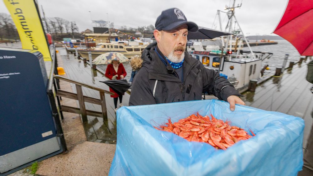 Illustrasjon av Siste fangst i Oslofjorden
