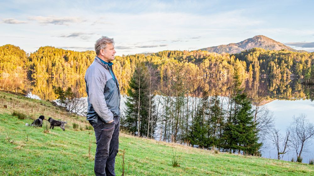 Illustrasjon av – Det legger seg som et fint lag i vannet. Det forsvinner ikke