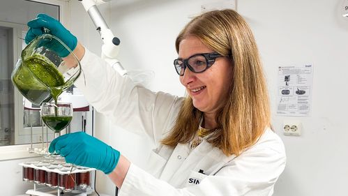 Illustrasjon av Bruker fjær, flis og gress til kortreiste proteiner