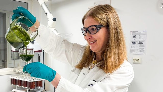 Bruker fjær, flis og gress til kortreiste proteiner