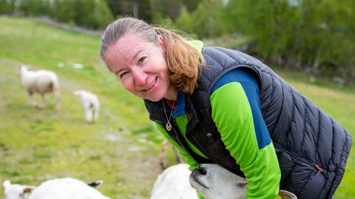 Illustrasjon av Marit ville løse eget problem – glemte å lese det med liten skrift