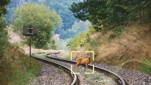 Illustrasjon av KI skal forhindre at dyr blir påkjørt i sporet