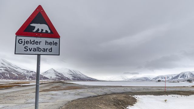 Svalbard vokser i rekordfart