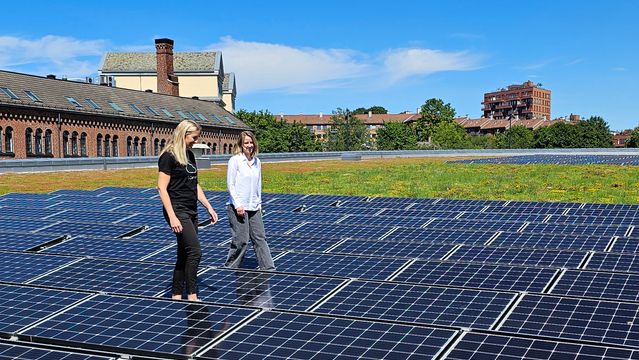 Samler 62 solcelleanlegg på én plattform: Enklere drift og mindre nedetid