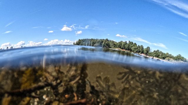 Helsesjekk av Oslofjorden tegner et alvorlig bilde av tilstanden