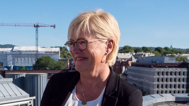 Disse skal sitte i kjernekraft-utvalget