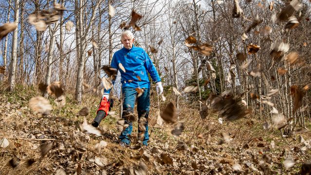 Hagens friseringsverktøy