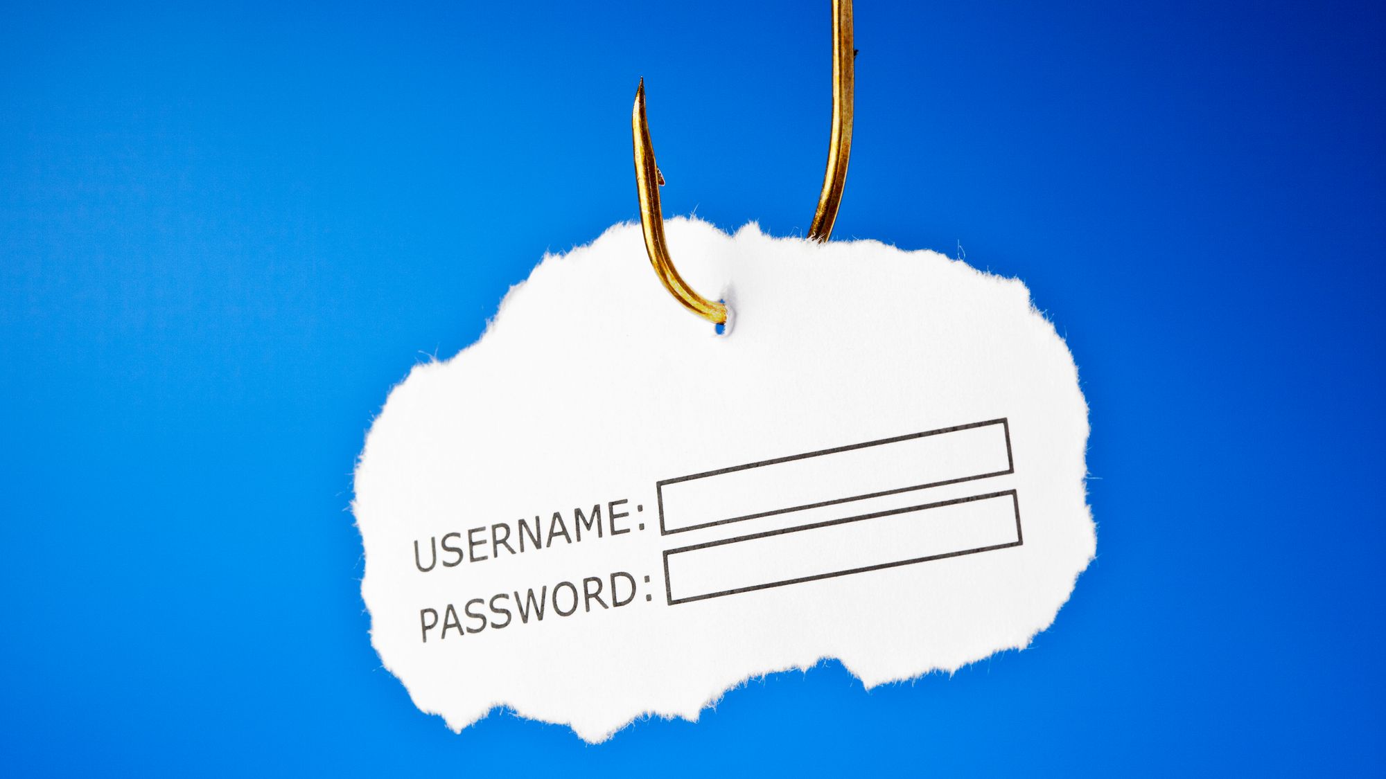 'Username and password' on a fishing hook. Conceptual image about the risk of internet identity theft, also known as 'Phishing'. 