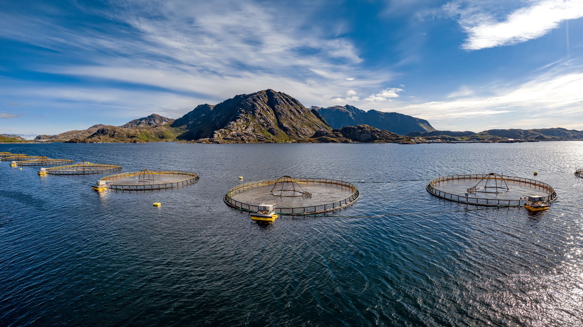 Slik bruker norske MOWI sensorer og maskinlæring i fiskeoppdrett