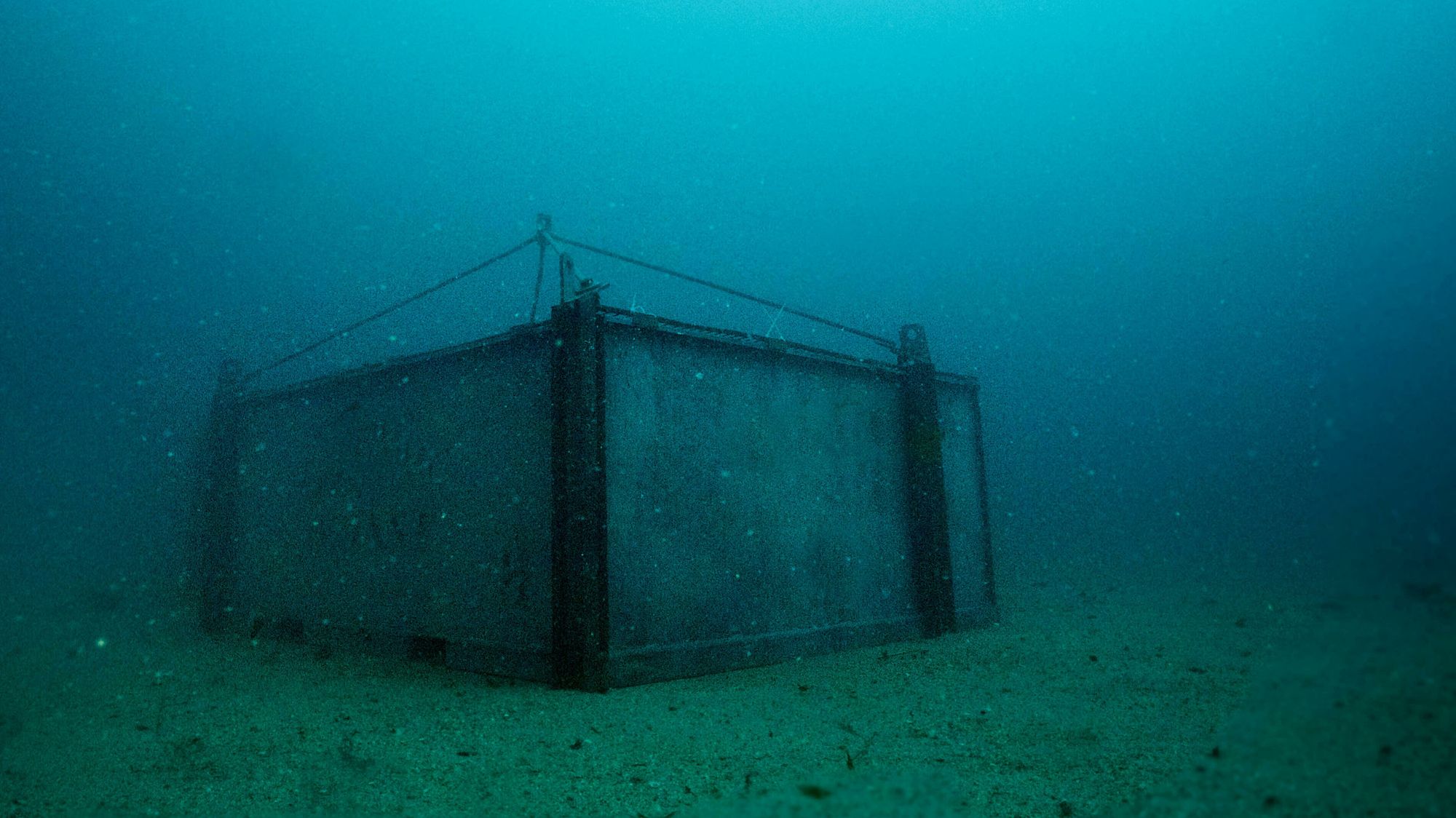 – Lagringsforholdene for champagne er helt optimale 60 meter under havoverflaten, hevder Pierre Bettinger ved champagnehuset Leclerc Briant.