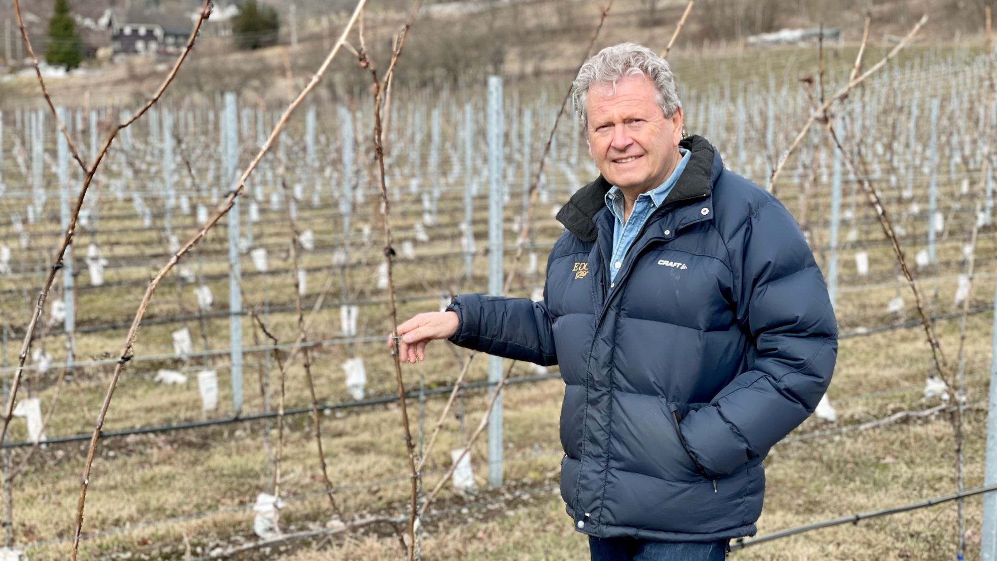 Her har Marius Egge plantet riesling. – Vi må fortsette å utforske mulighetene, sier Marius Egge, etter å ha lykkes med hybridplanter.