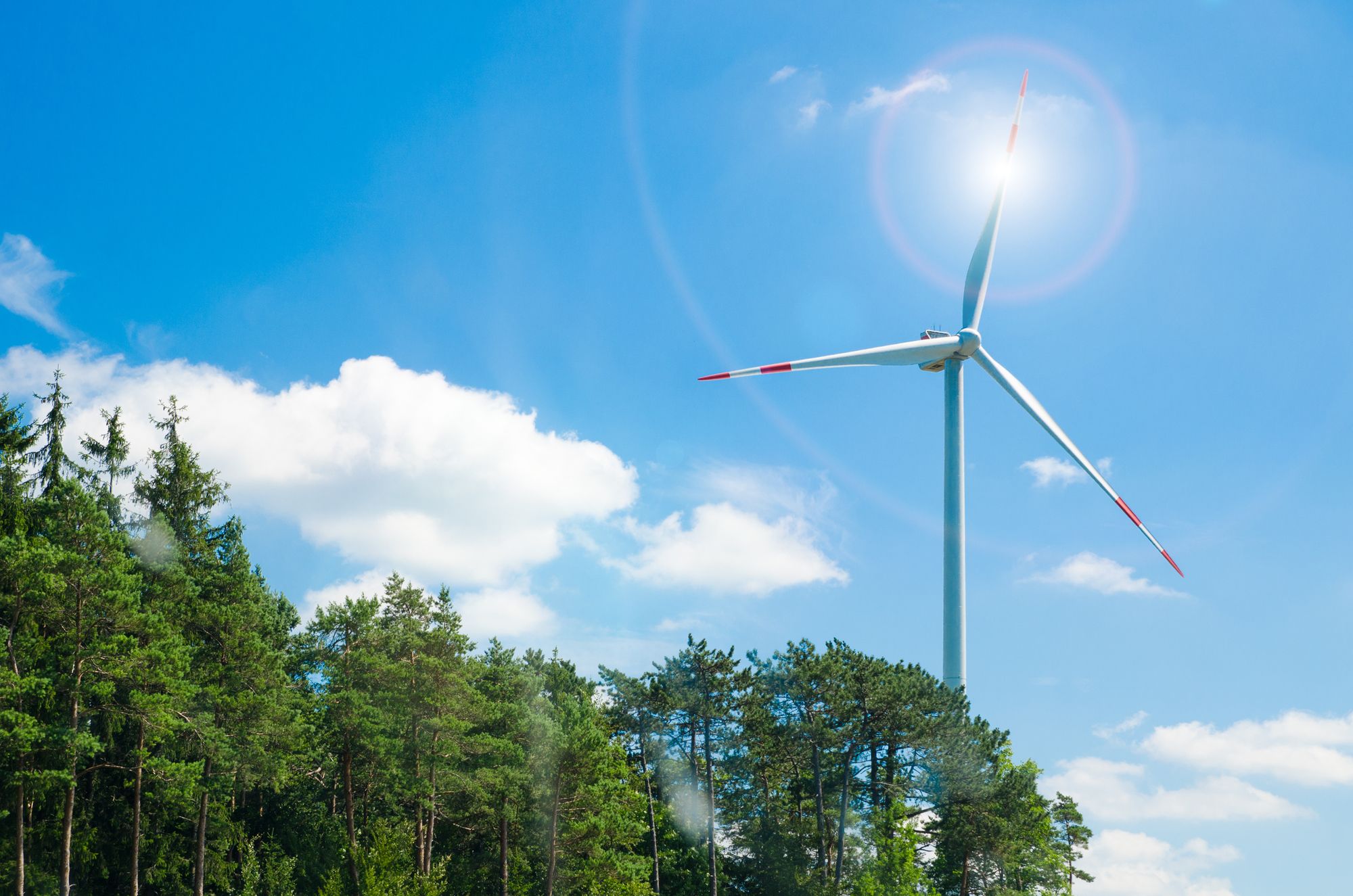 Fornybar energikilder som vind og sol er i ferd med å gjøre EU-land mindre avhengige av fossile energikilder som kull, olje og gass.