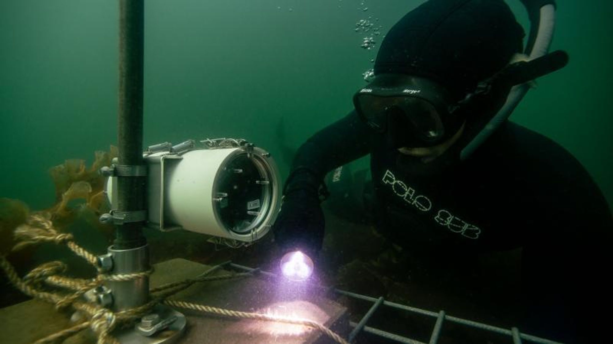 Forskningsassistent Carl Baden fra DTU Aqua inspiserer ett av mer enn 700 undervannskameraer instituttet har satt opp for å overvåke livet på utvalgte steinskjær.