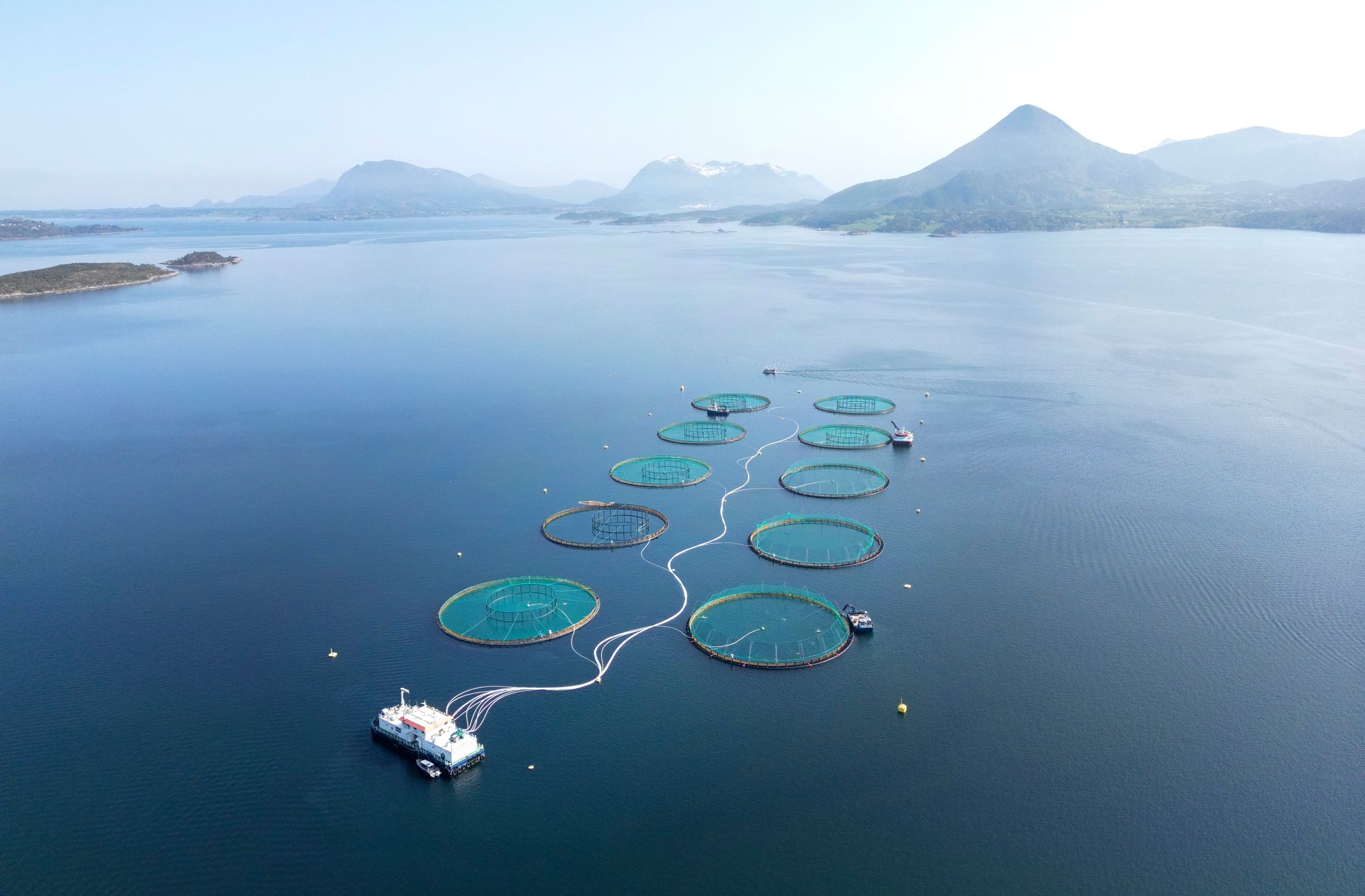 Finansdepartementet vil ikke svare på om de er fornøyd med resultatene fra lakseskatten. Bildet er fra Mowis anlegg ved Aukrasanden i Møre og Romsdal.