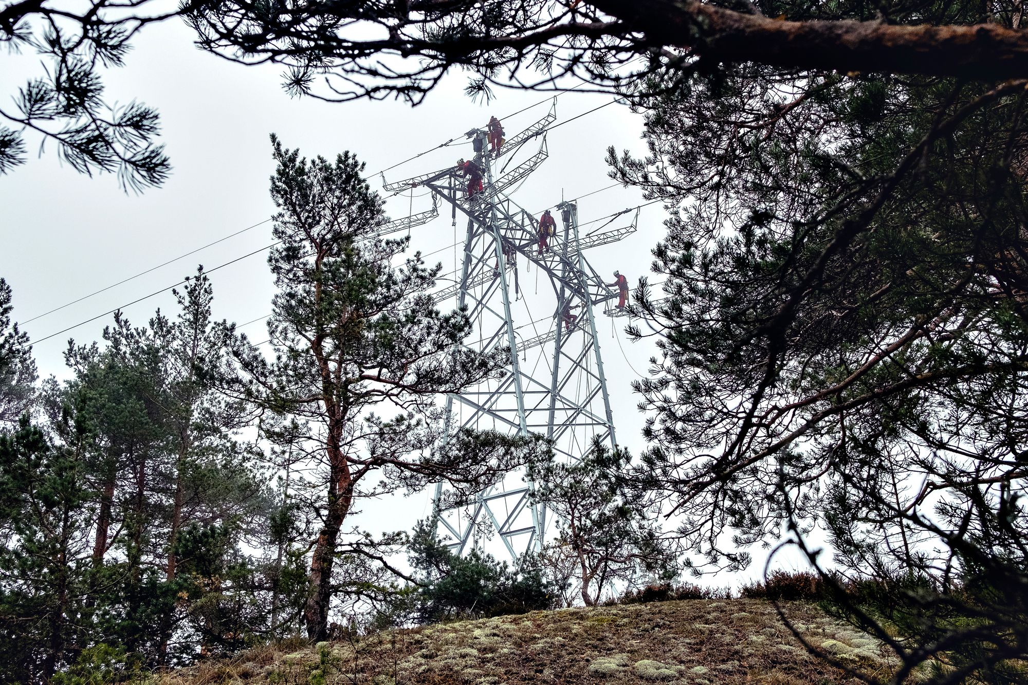 Strømmen til Sør-Norge kommer delvis via Sverige. Dermed vil nye norske uvaner påvirke svenske priser, frykter svenskene.