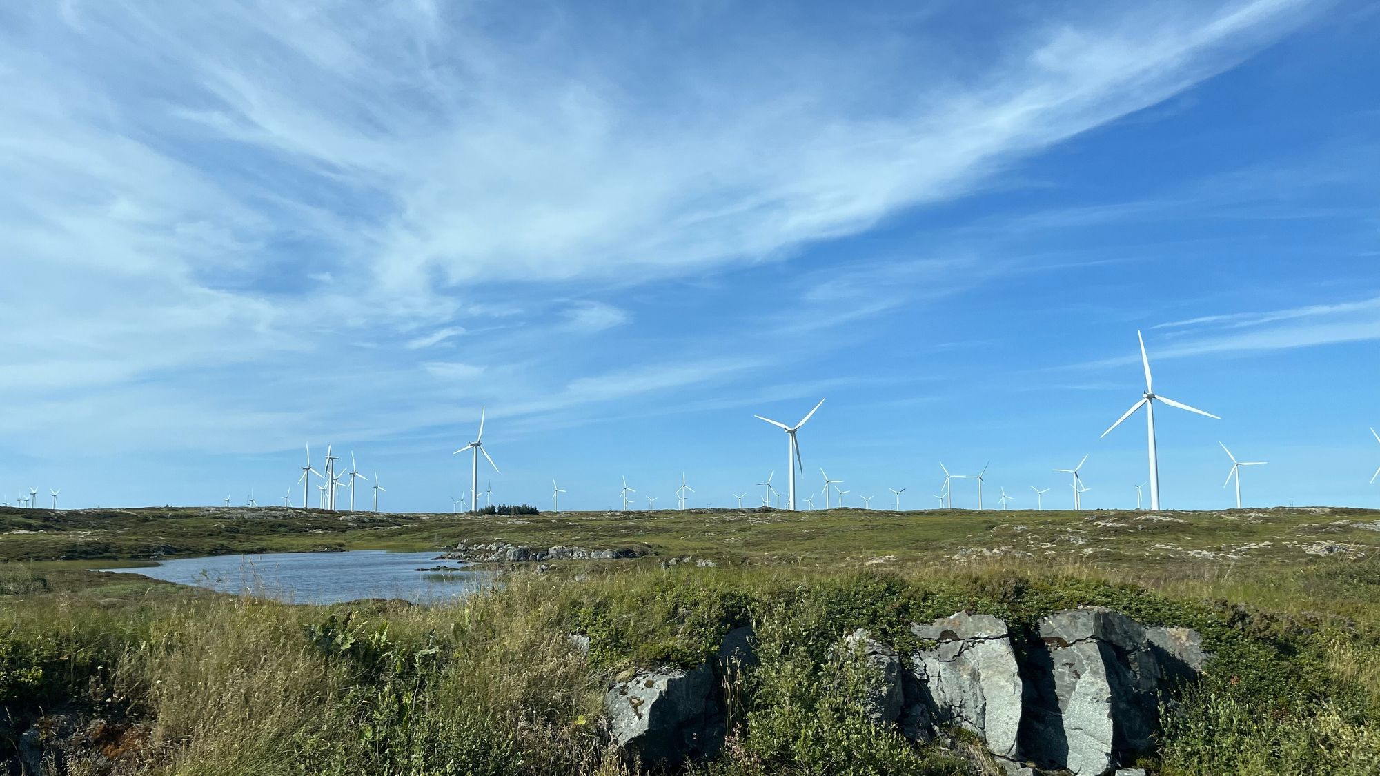 Uansett hvor upopulært det er, vil vi slite med å dekke kraftbehovet her til lands i 2030 uten å bygge ut mer vindkraft, mener forskerne. Bildet er av Smøla vindpark i Møre og Romsdal.