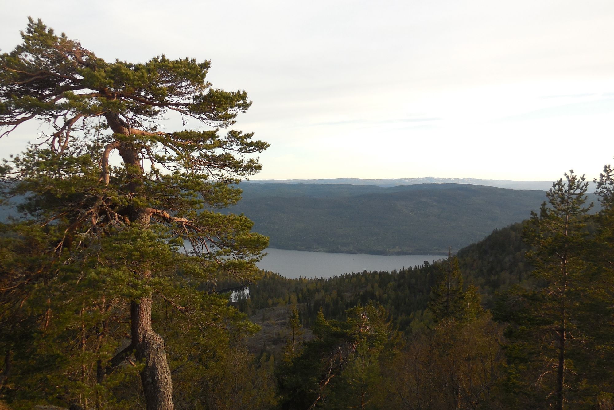 Forsvarets nye radar på Østlandet skal bygges på toppen Sirikjerke. Her er utsikt mot Eikeren.