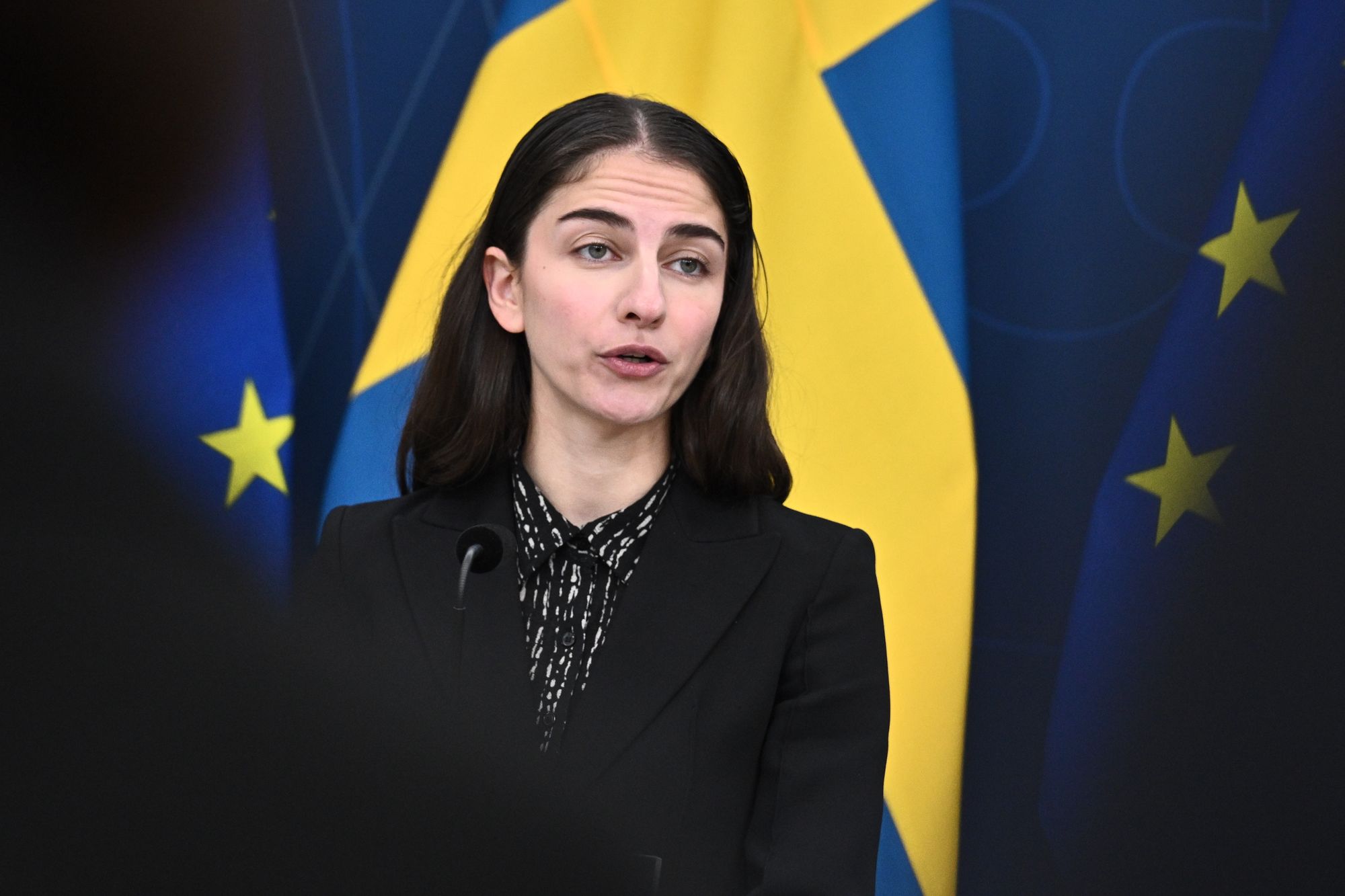 Sveriges miljøminister Romina Pourmokhtari (L) la frem nyheten på en pressekonferanse mandag.