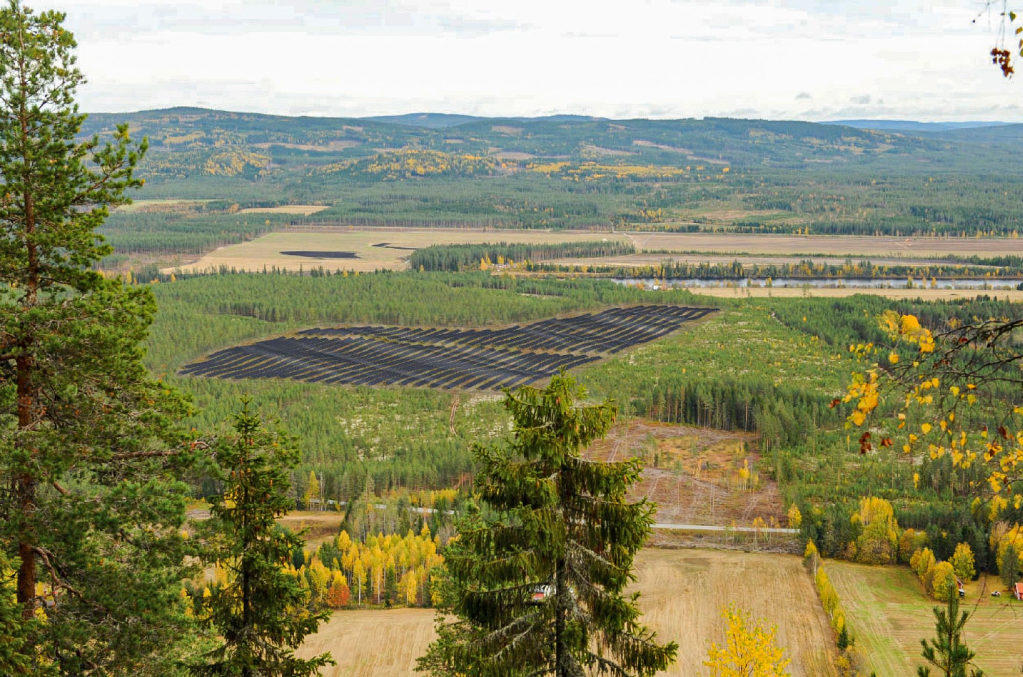 Visualisering av Bronkemoen solkraftverk som er planlagt på vestsiden av Glomma, mellom Braskereidfoss og Heradsbygd  sør for Elverum.