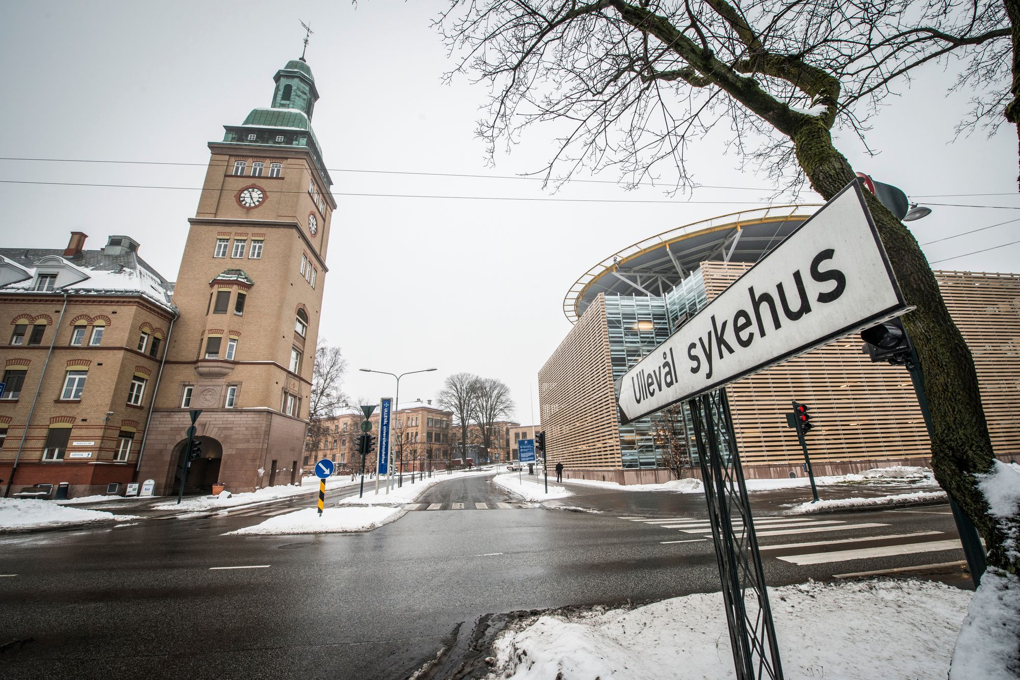 Ullevål sykehus, etablert i 1887, er Norges største akuttsykehus og er det kjent for sin avanserte traumebehandling og forskning. Sykehuset spiller en sentral rolle i norsk helsevesen i dag. Ullevål er planlagt nedlagt i 2030 når skal flytte inn på det nye sykehuset på Gaustad og Aker. Prosjektet har en kostnadsramme på 32,6 milliarder kroner.