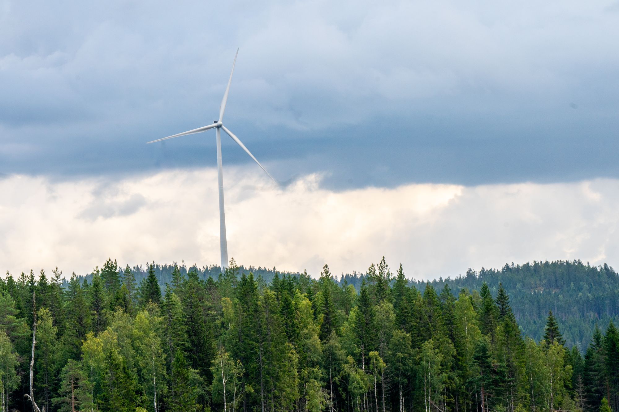 Kommunene Eidskog, Kongsvinger og Aurskog-Høland sier nei til vindkraftverk i egne kommuner, men de vil heller ikke ha vindkraft på svensk side av grensen.