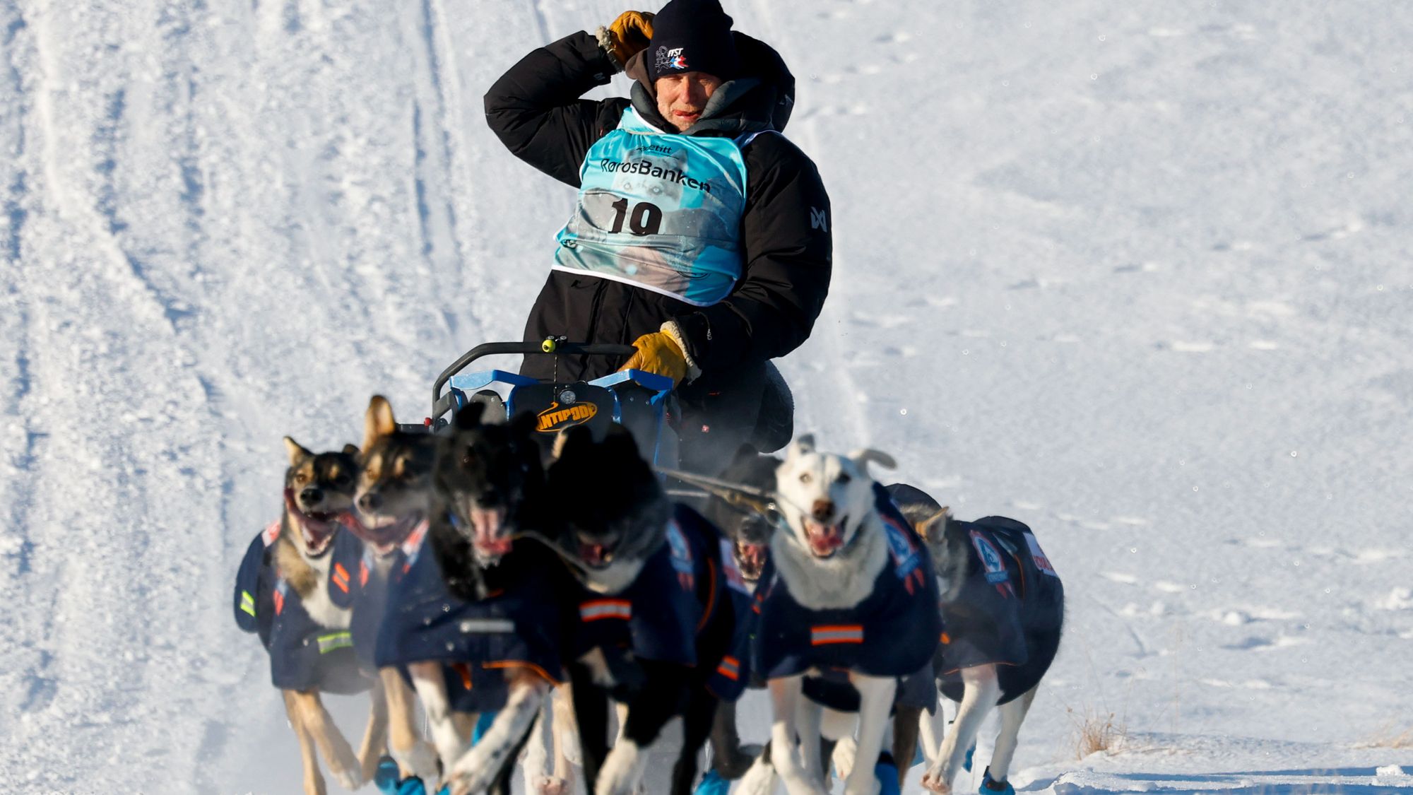 VM i hundekjøring på Røros er rammet av et massivt dataangrep.